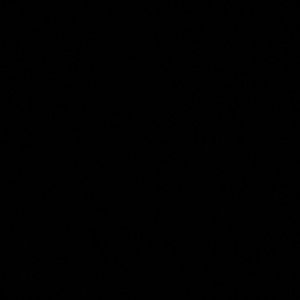 Meet your Posher, Zaria